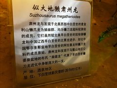 -甘肃地质博物馆