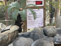 -张家港金凤凰度假村温泉