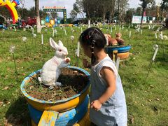 -武汉紫薇都市田园