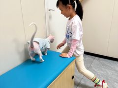 -美联众合爱康动物医院•复杂内科•肿瘤科•牙科•腔镜诊疗中心