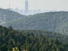 -佛慧山