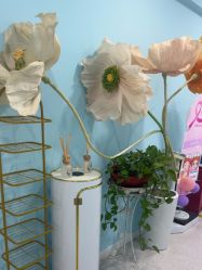 -斐尔国际皮肤管理中心