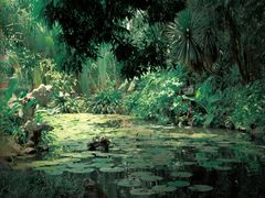 -中国科学院西双版纳热带植物园
