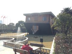 -金山农民画村-枫泾波兰倒置屋