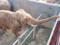 -西霞口神雕山野生动物世界