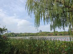 -金鸡湖桃花岛