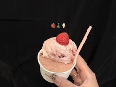 -红楼HONGLOU Gelato(淮海中路店)