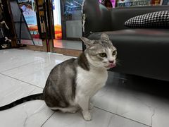 -谜盒子奇幻密室(南屏店)