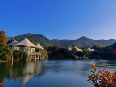 -帐篷客·溪龙茶谷度假酒店