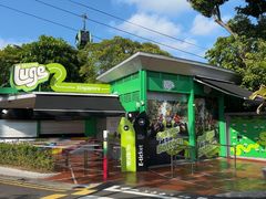 -圣淘沙天际线斜坡滑车
