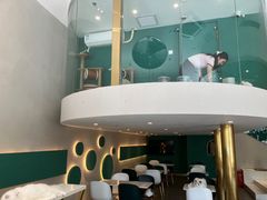 -飞行喵MR PILOT|猫舍·猫咖(静安大融城店)
