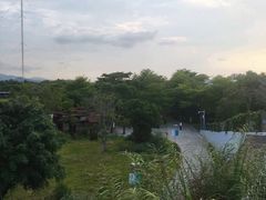 -福田红树林生态公园