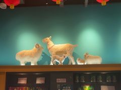 -大白羊蝎子馆(后沙峪山姆店)