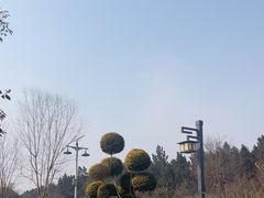 -花洲书院