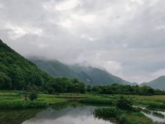 -大九湖