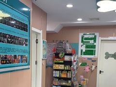 -天使宠物医院·犬猫分诊(彩虹店)