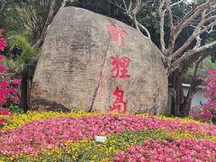 -野狸岛