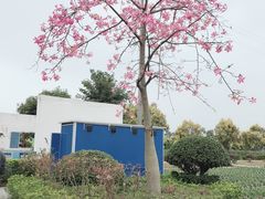 -广东花都香草世界旅游度假区