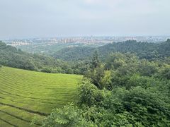 -敬亭山风景名胜区