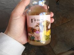 -田园东方蜜桃村的田野营地