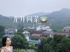 -十八棵（老龙井）御茶园(老龙井店)