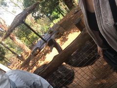-昆明动物园