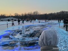 -长春市南湖公园