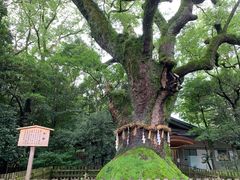 -热田神宫