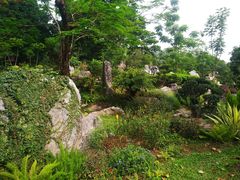 -东莞植物园