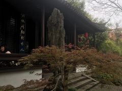 -上海醉白池公园