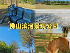 -顺峰山公园