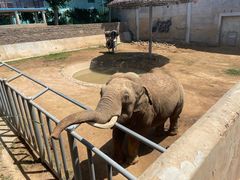 -西霞口神雕山野生动物世界