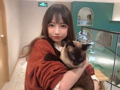 -飞行喵MR PILOT|猫舍·猫咖(静安大融城店)