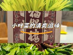 -福照楼汽锅鸡·云南特色菜(万达广场店)