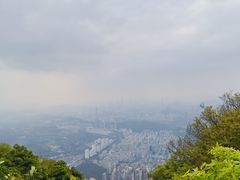 -梧桐山风景名胜区