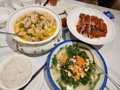 -椿记烧鹅(叠彩店)