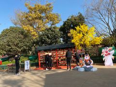 -七彩云南欢乐世界