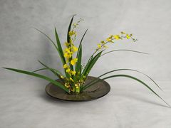 -荷兰布尔玛国际花艺学院