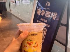 -瑞幸咖啡(深圳北高铁站内部店-B12检票口二楼)