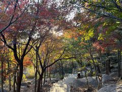 -崂山巨峰游览区