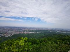 -紫金山山顶公园