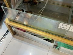-十八字金银饰·拼豆·开蚌手工体验团建(君太百货店)