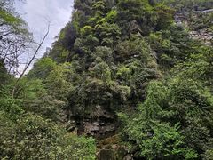 -碧峰峡风景区