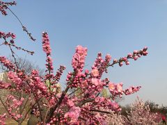 -永定河休闲森林公园