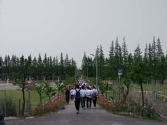 -上海长兴岛郊野公园