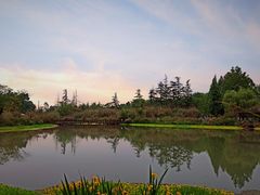 -桤木河湿地公园