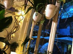 -春树下·树屋花房西餐厅(罍街AS1980店)