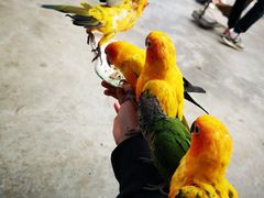 -昆明动物园