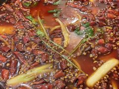 -鸿顺老铁锅美蛙鱼府(解放碑店)