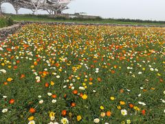 -江苏三台山国家森林公园